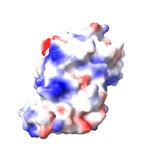 Lyn Tyrosine Kinase Domain-Dasatinib complex — Image 6 of 13