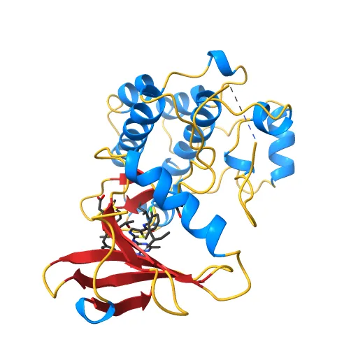 Lyn Tyrosine Kinase Domain-Dasatinib complex — Image 7 of 13