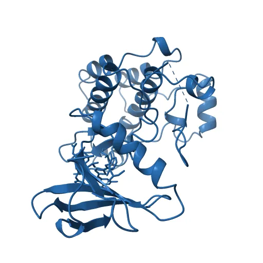 Lyn Tyrosine Kinase Domain-Dasatinib complex — Image 8 of 13