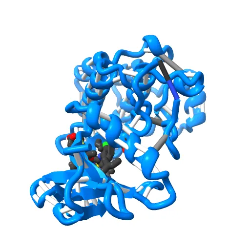 Lyn Tyrosine Kinase Domain-Dasatinib complex — Image 10 of 13
