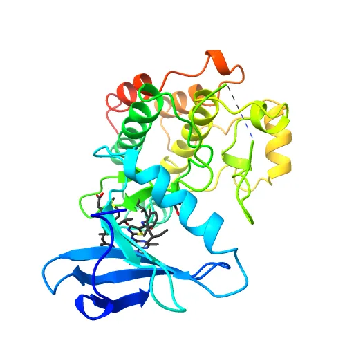 Lyn Tyrosine Kinase Domain-Dasatinib complex — Image 13 of 13