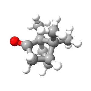 Camphor