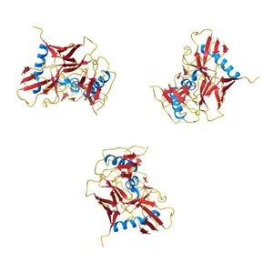 Molecular structure for the HIV-1 gp120 trimer in the unliganded state