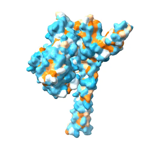 CRYSTAL STRUCTURE OF THE NUCLEOTIDE EXCHANGE FACTOR GRPE BOUND TO THE ATPASE DOMAIN OF THE MOLECULAR CHAPERONE DNAK — Image 3 of 13