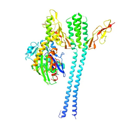 CRYSTAL STRUCTURE OF THE NUCLEOTIDE EXCHANGE FACTOR GRPE BOUND TO THE ATPASE DOMAIN OF THE MOLECULAR CHAPERONE DNAK — Image 4 of 13