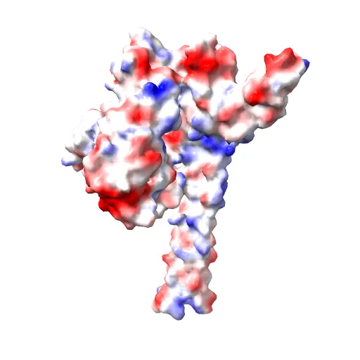 CRYSTAL STRUCTURE OF THE NUCLEOTIDE EXCHANGE FACTOR GRPE BOUND TO THE ATPASE DOMAIN OF THE MOLECULAR CHAPERONE DNAK — Image 5 of 13