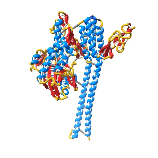 CRYSTAL STRUCTURE OF THE NUCLEOTIDE EXCHANGE FACTOR GRPE BOUND TO THE ATPASE DOMAIN OF THE MOLECULAR CHAPERONE DNAK — Image 6 of 13
