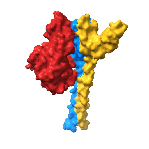CRYSTAL STRUCTURE OF THE NUCLEOTIDE EXCHANGE FACTOR GRPE BOUND TO THE ATPASE DOMAIN OF THE MOLECULAR CHAPERONE DNAK — Image 7 of 13