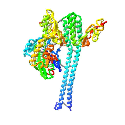 CRYSTAL STRUCTURE OF THE NUCLEOTIDE EXCHANGE FACTOR GRPE BOUND TO THE ATPASE DOMAIN OF THE MOLECULAR CHAPERONE DNAK — Image 8 of 13