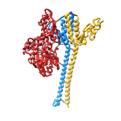 CRYSTAL STRUCTURE OF THE NUCLEOTIDE EXCHANGE FACTOR GRPE BOUND TO THE ATPASE DOMAIN OF THE MOLECULAR CHAPERONE DNAK — Image 9 of 13
