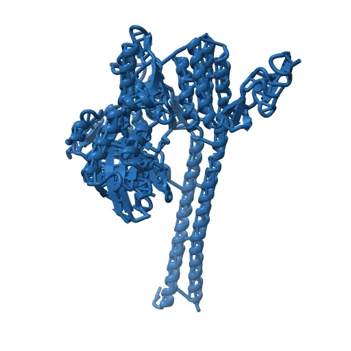 CRYSTAL STRUCTURE OF THE NUCLEOTIDE EXCHANGE FACTOR GRPE BOUND TO THE ATPASE DOMAIN OF THE MOLECULAR CHAPERONE DNAK — Image 10 of 13