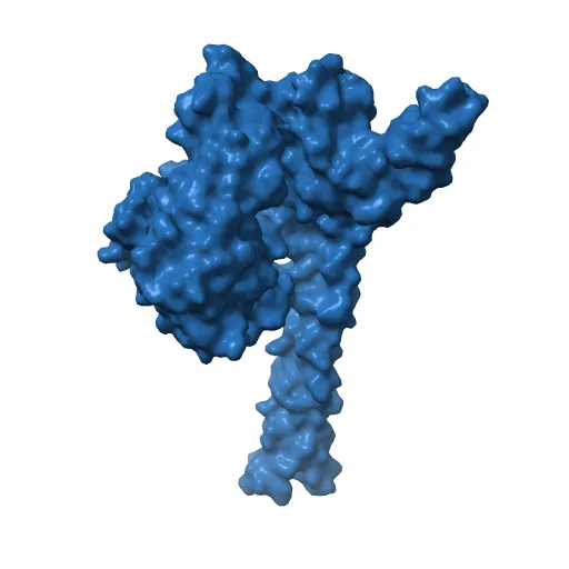 CRYSTAL STRUCTURE OF THE NUCLEOTIDE EXCHANGE FACTOR GRPE BOUND TO THE ATPASE DOMAIN OF THE MOLECULAR CHAPERONE DNAK — Image 12 of 13