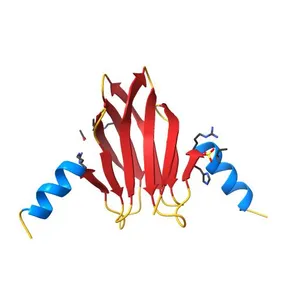 Structure-function studies of the RmsA CsrA post-transcriptional global regulator protein family reveals a class of RNA-binding structure