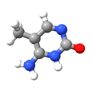 5-Methylcytosine