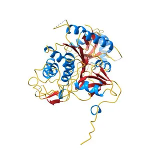 The crystal structure of human Atg4B(C74S)- LC3(1-124) complex