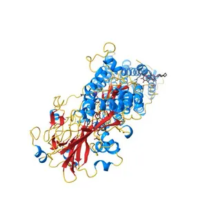 Crystal Structure of a Plasma Membrane Proton Pump