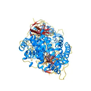 Crystal structure of human lanosterol 14alpha-demethylase (CYP51) in complex with ketoconazole