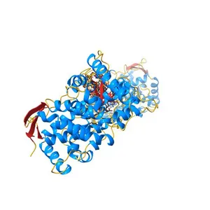 Crystal structure of human lanosterol 14alpha-demethylase (CYP51)
