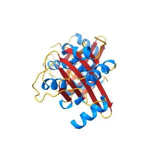 CRYSTAL STRUCTURE OF THE DNA-BINDING DOMAIN OF THE REPLICATION INITIATION PROTEIN E1 FROM PAPILLOMAVIRUS