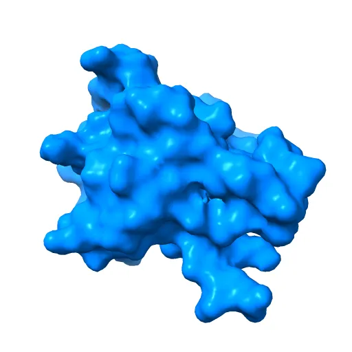REGULATORY DOMAIN OF HUMAN CARDIAC TROPONIN C IN THE CALCIUM-SATURATED STATE, NMR, 40 STRUCTURES — Image 4 of 13