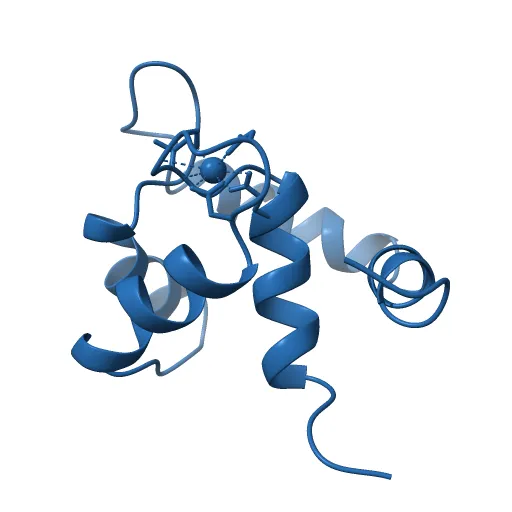 REGULATORY DOMAIN OF HUMAN CARDIAC TROPONIN C IN THE CALCIUM-SATURATED STATE, NMR, 40 STRUCTURES — Image 5 of 13