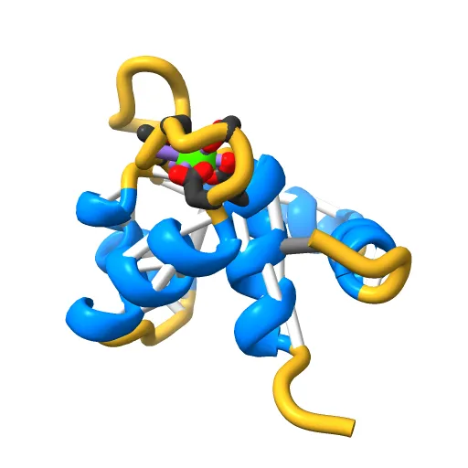 REGULATORY DOMAIN OF HUMAN CARDIAC TROPONIN C IN THE CALCIUM-SATURATED STATE, NMR, 40 STRUCTURES — Image 6 of 13