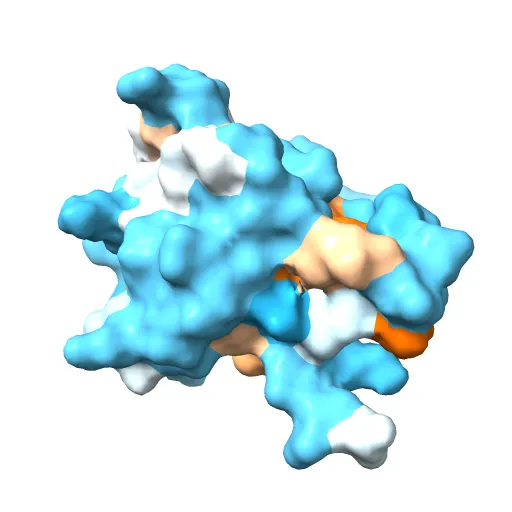 REGULATORY DOMAIN OF HUMAN CARDIAC TROPONIN C IN THE CALCIUM-SATURATED STATE, NMR, 40 STRUCTURES — Image 8 of 13