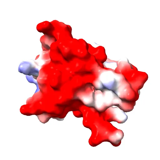 REGULATORY DOMAIN OF HUMAN CARDIAC TROPONIN C IN THE CALCIUM-SATURATED STATE, NMR, 40 STRUCTURES — Image 9 of 13