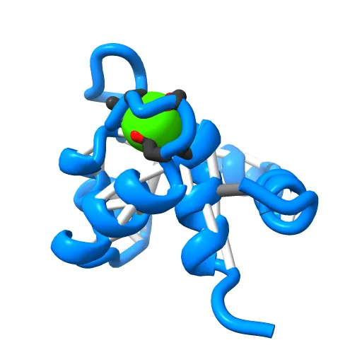 REGULATORY DOMAIN OF HUMAN CARDIAC TROPONIN C IN THE CALCIUM-SATURATED STATE, NMR, 40 STRUCTURES — Image 10 of 13