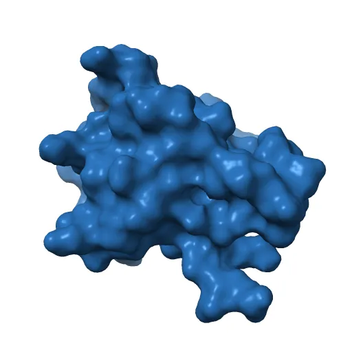 REGULATORY DOMAIN OF HUMAN CARDIAC TROPONIN C IN THE CALCIUM-SATURATED STATE, NMR, 40 STRUCTURES — Image 12 of 13