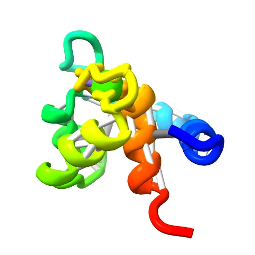 REGULATORY DOMAIN OF HUMAN CARDIAC TROPONIN C IN THE CALCIUM-SATURATED STATE, NMR, 40 STRUCTURES — Image 13 of 13