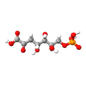 4,5,6-Trihydroxy-2-oxo-7-phosphonooxyheptanoic acid