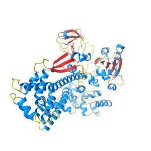 Crystal Structure of the Tex protein from Pseudomonas aeruginosa, crystal form I