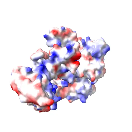 Crystal Structure of the Tex protein from Pseudomonas aeruginosa, crystal form I — Фото 2 из 13