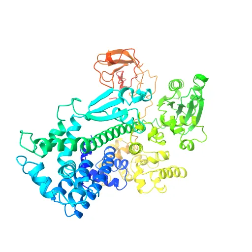 Crystal Structure of the Tex protein from Pseudomonas aeruginosa, crystal form I — Фото 4 из 13