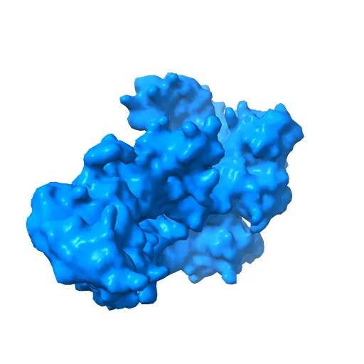Crystal Structure of the Tex protein from Pseudomonas aeruginosa, crystal form I — Фото 5 из 13