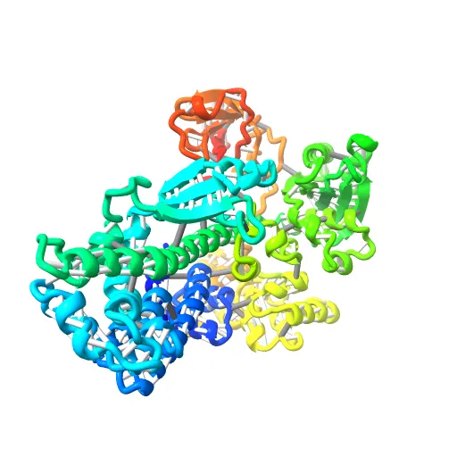 Crystal Structure of the Tex protein from Pseudomonas aeruginosa, crystal form I — Фото 6 из 13