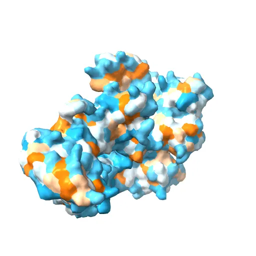 Crystal Structure of the Tex protein from Pseudomonas aeruginosa, crystal form I — Фото 7 из 13