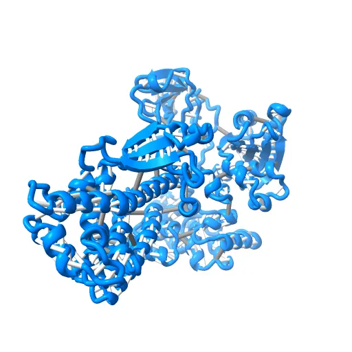 Crystal Structure of the Tex protein from Pseudomonas aeruginosa, crystal form I — Фото 8 из 13