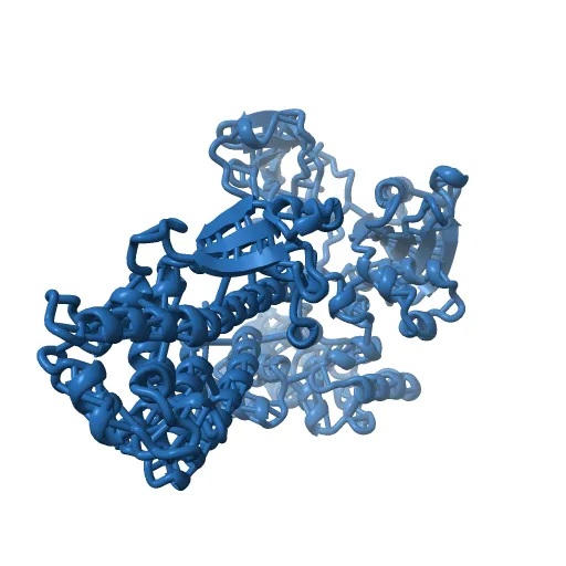 Crystal Structure of the Tex protein from Pseudomonas aeruginosa, crystal form I — Фото 10 из 13