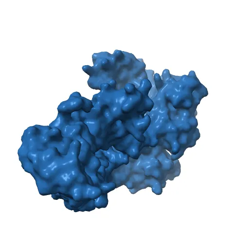 Crystal Structure of the Tex protein from Pseudomonas aeruginosa, crystal form I — Фото 11 из 13