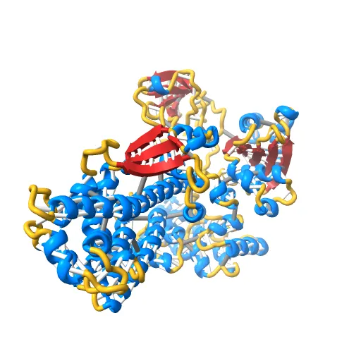 Crystal Structure of the Tex protein from Pseudomonas aeruginosa, crystal form I — Фото 12 из 13