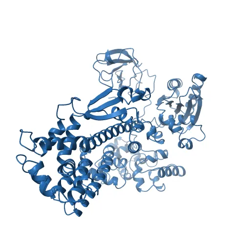 Crystal Structure of the Tex protein from Pseudomonas aeruginosa, crystal form I — Фото 13 из 13