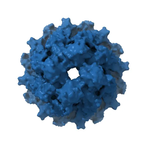 Structure of the CED-4 Apoptosome — Фото 2 из 4