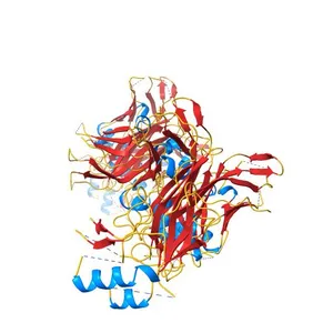 Crystal Structure of Ebola virus VP40 Hexamer