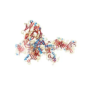 Crystal structure of the trimeric prefusion Ebola virus glycoprotein in complex with a neutralizing antibody from a human survivor