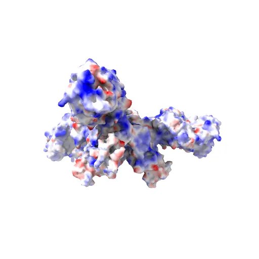 Crystal structure of the trimeric prefusion Ebola virus glycoprotein in complex with a neutralizing antibody from a human survivor — Image 3 of 13