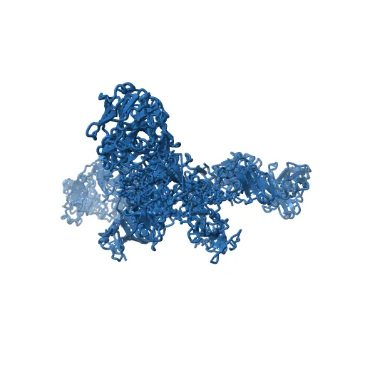Crystal structure of the trimeric prefusion Ebola virus glycoprotein in complex with a neutralizing antibody from a human survivor — Image 4 of 13