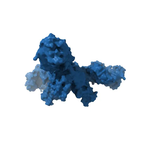 Crystal structure of the trimeric prefusion Ebola virus glycoprotein in complex with a neutralizing antibody from a human survivor — Image 5 of 13