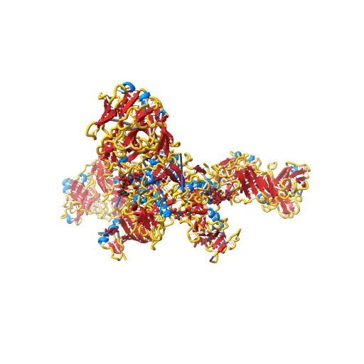 Crystal structure of the trimeric prefusion Ebola virus glycoprotein in complex with a neutralizing antibody from a human survivor — Image 6 of 13